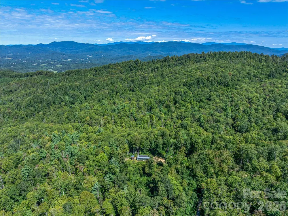 632 Justus Case Mountain Place Hendersonville, NC 28792