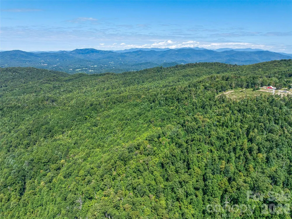 632 Justus Case Mountain Place Hendersonville, NC 28792
