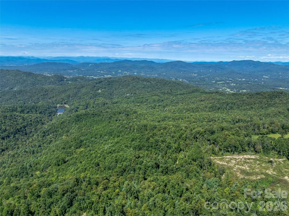 632 Justus Case Mountain Place Hendersonville, NC 28792