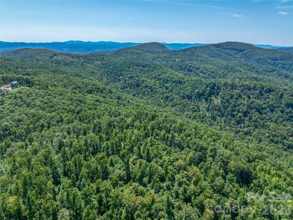 632 Justus Case Mountain Place Hendersonville, NC 28792