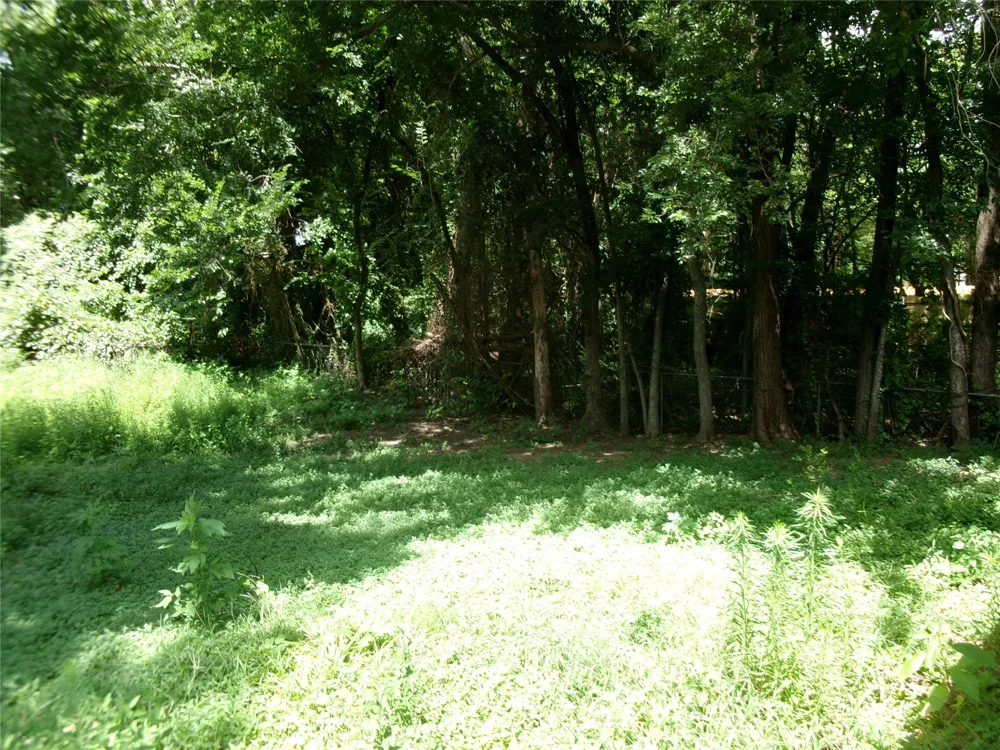 204 Maxwell Street Sulphur Springs, TX 75482