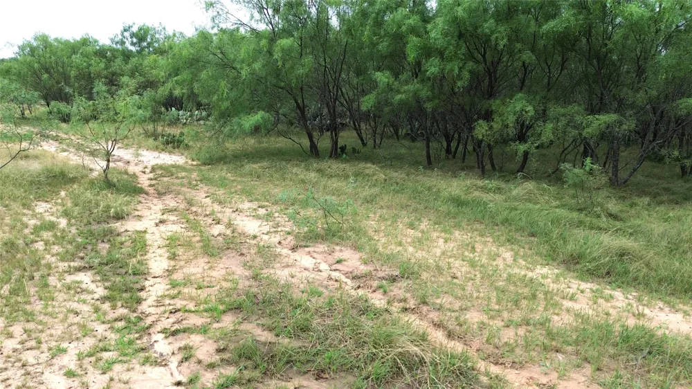 CR 248 A Comanche, TX 76442