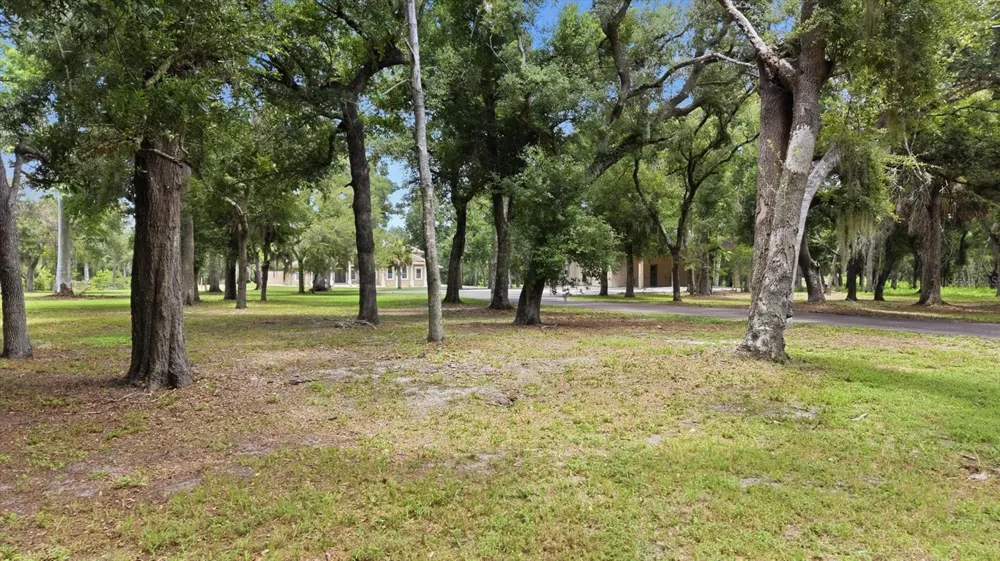 24525 JENNINGS ROAD Myakka City, FL 34251