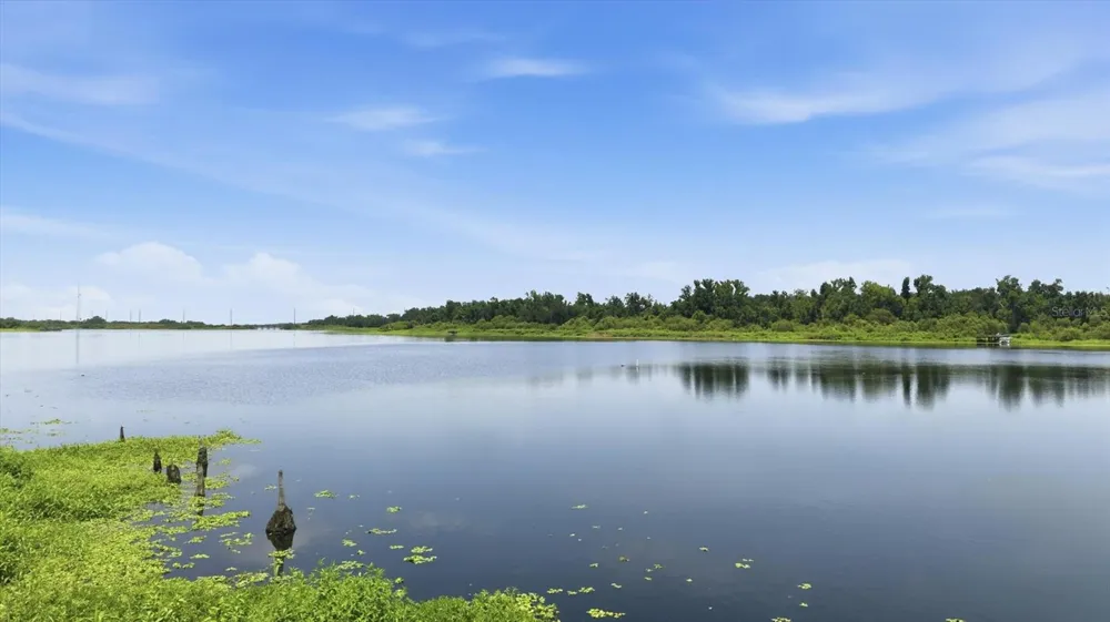 24525 JENNINGS ROAD Myakka City, FL 34251