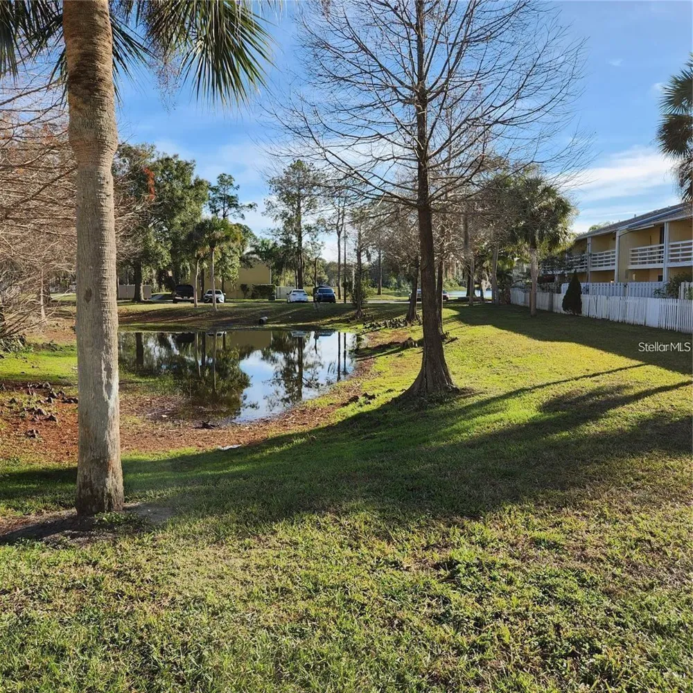 22630 GAGE LOOP #4 Land O Lakes, FL 34639