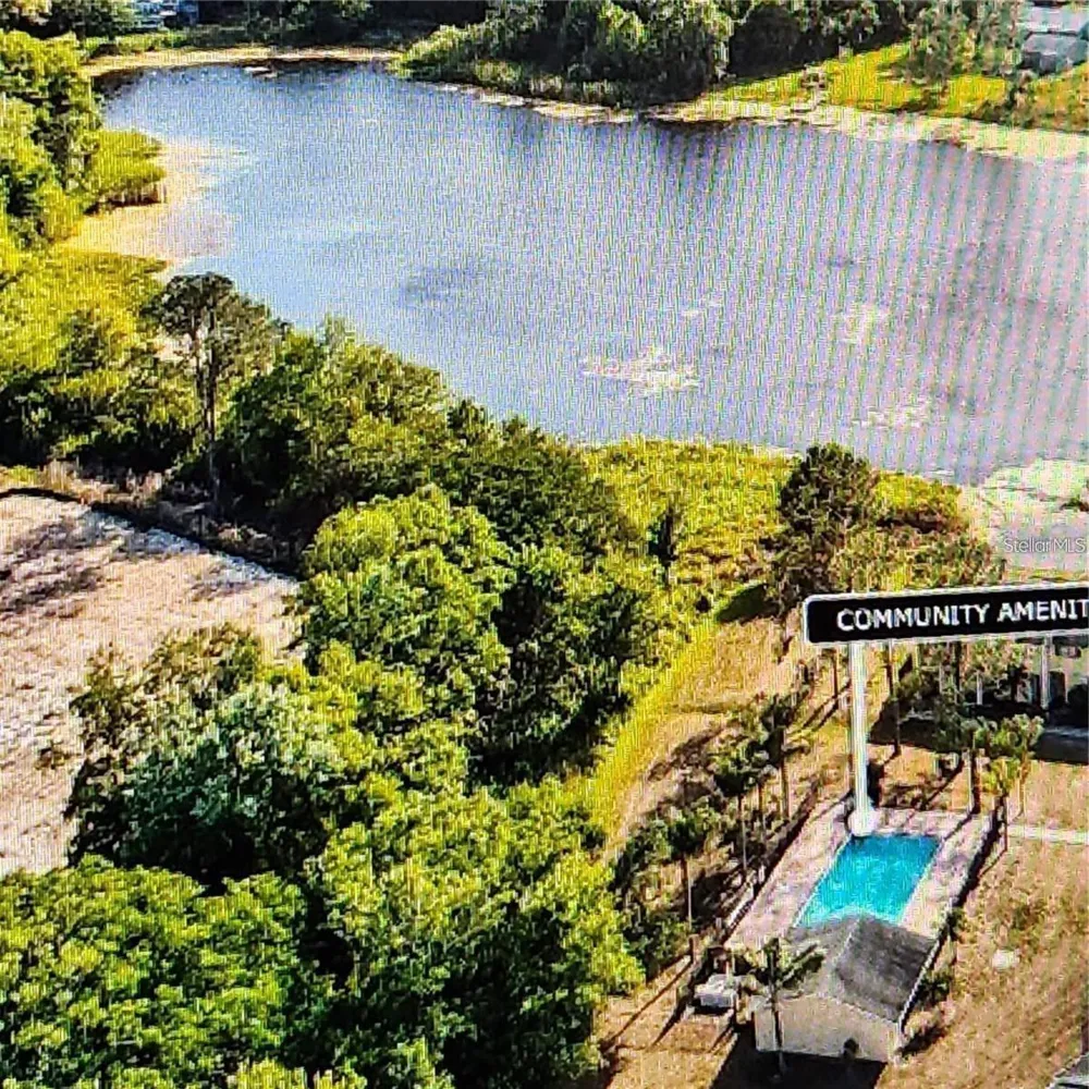 22630 GAGE LOOP #4 Land O Lakes, FL 34639
