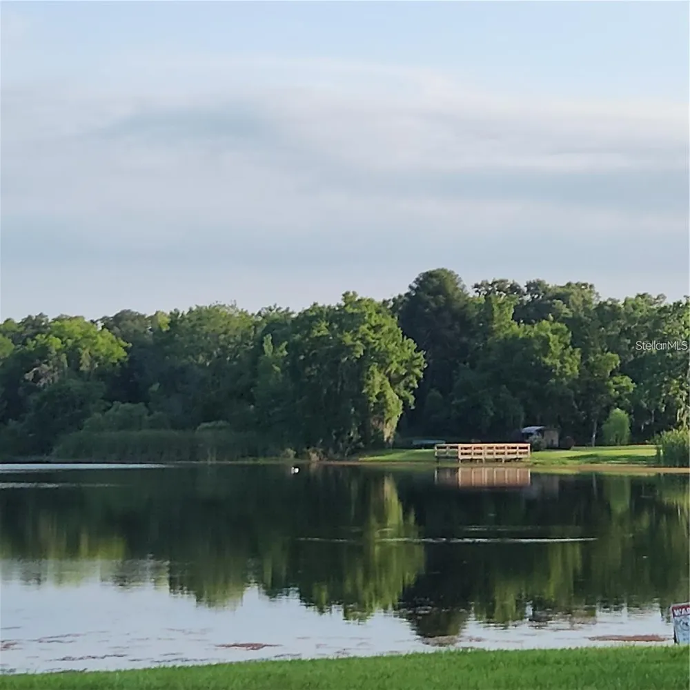 22630 GAGE LOOP #4 Land O Lakes, FL 34639