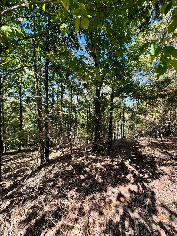 0 Vista View Parkway Jasper, GA 30143