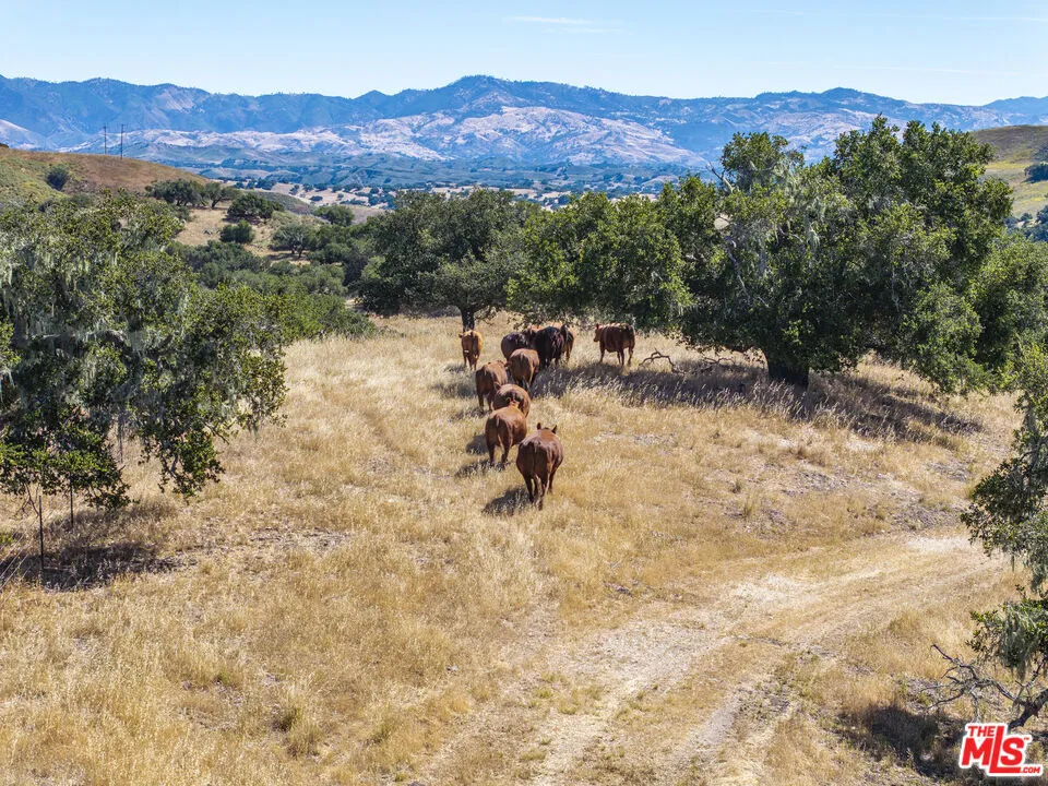 2551 Hwy 101 Buellton, CA 93427
