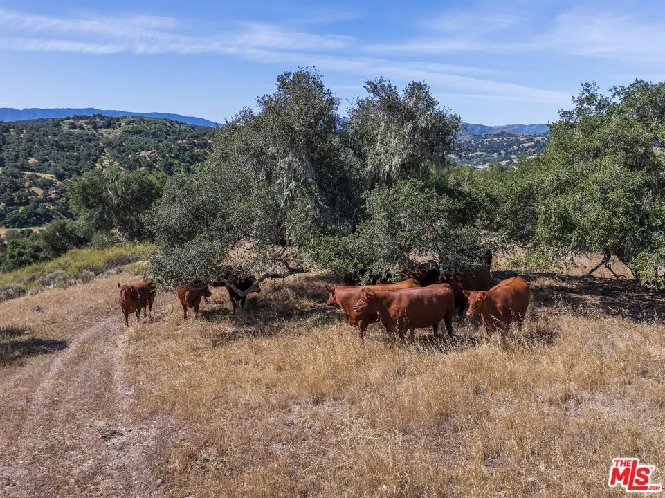 2551 Hwy 101 Buellton, CA 93427