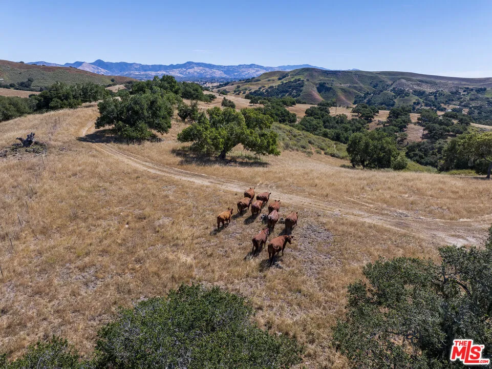 2551 Hwy 101 Buellton, CA 93427