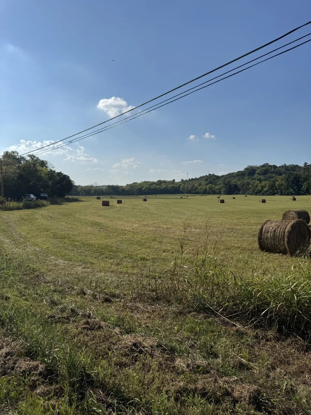 0 Cheatham Springs Road Wartrace, TN 37183