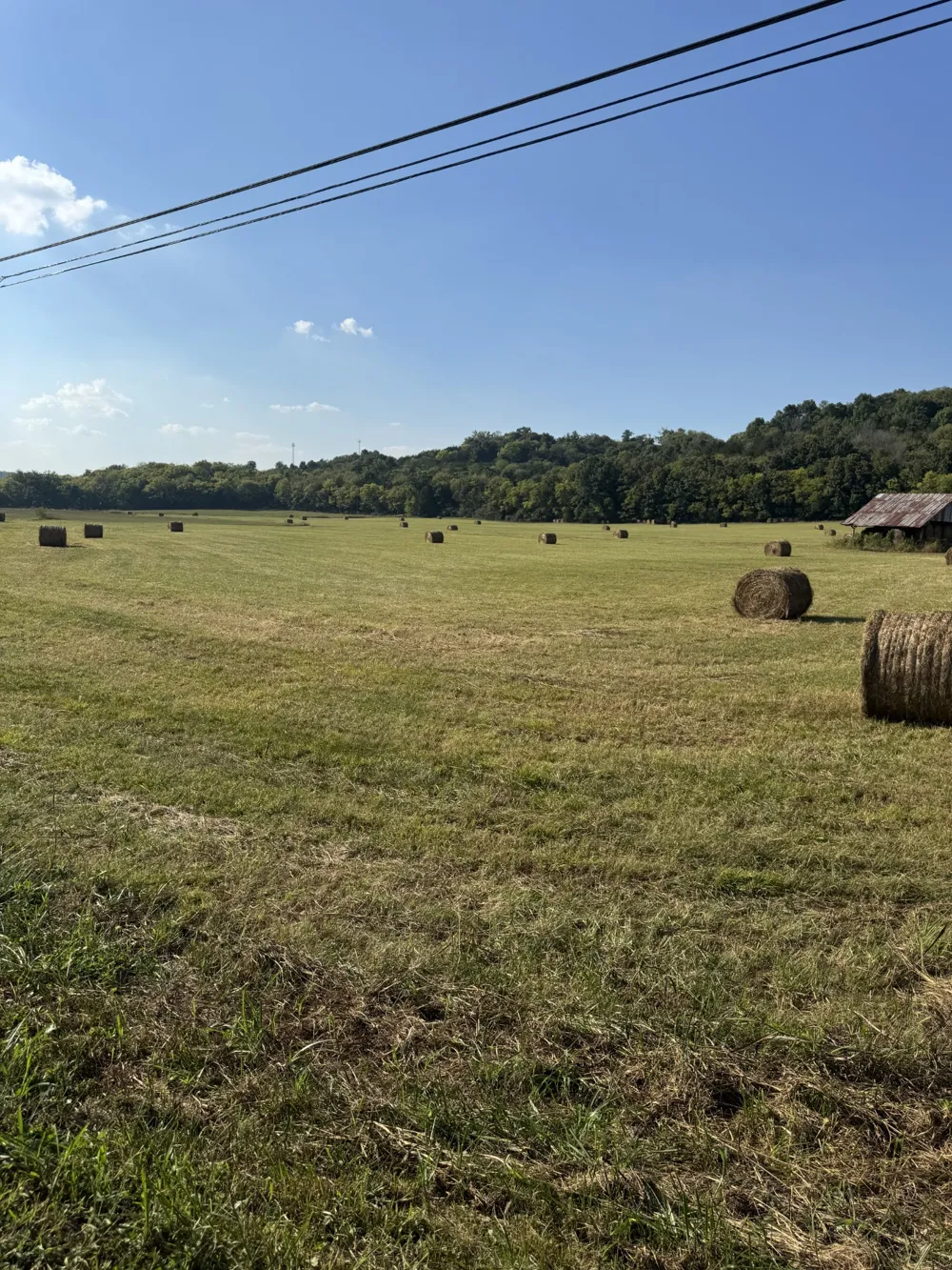 0 Cheatham Springs Road Wartrace, TN 37183