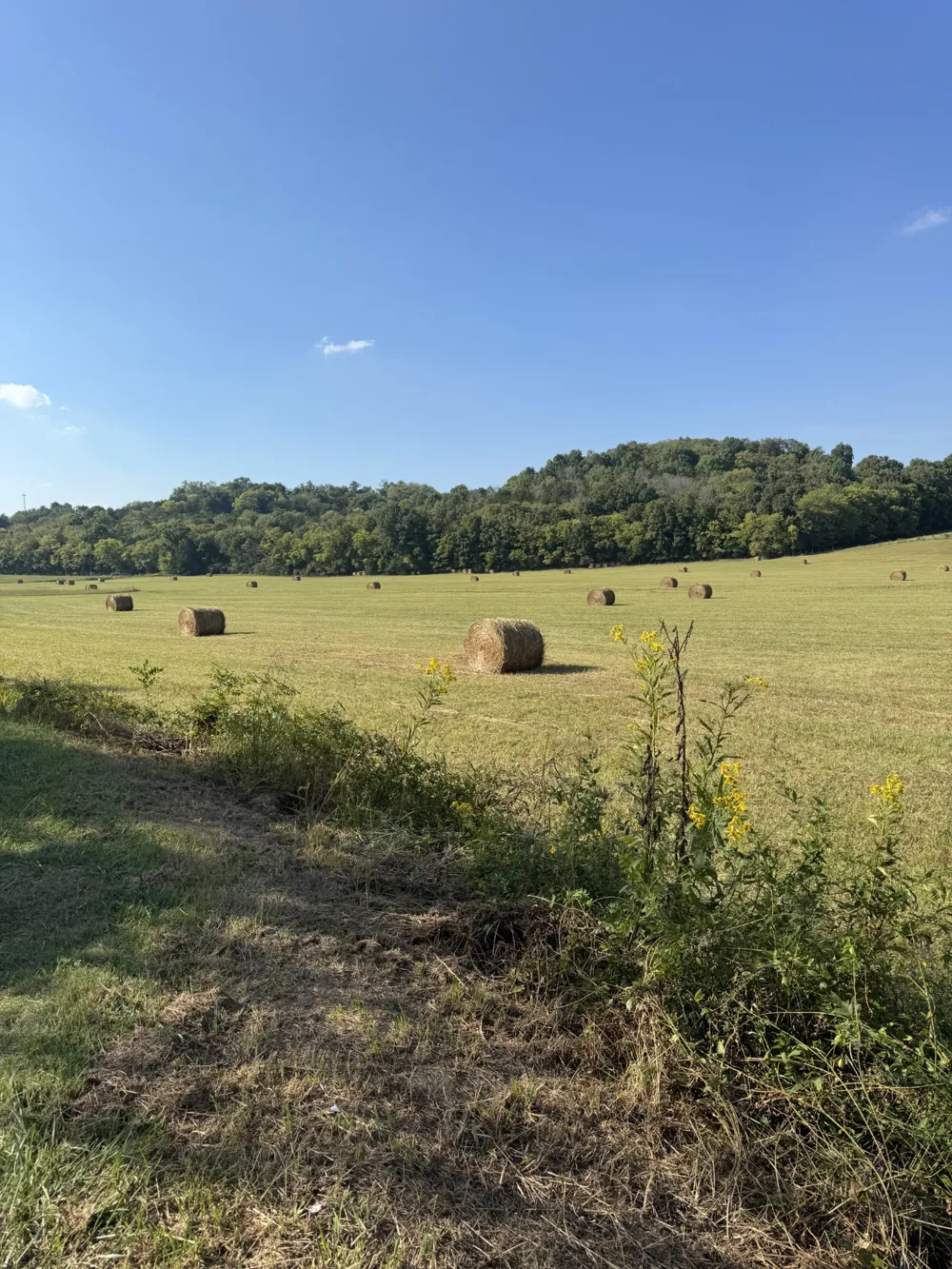 0 Cheatham Springs Road Wartrace, TN 37183