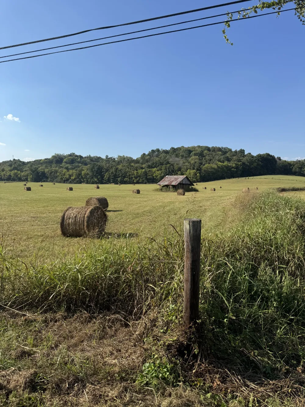 0 Cheatham Springs Road Wartrace, TN 37183