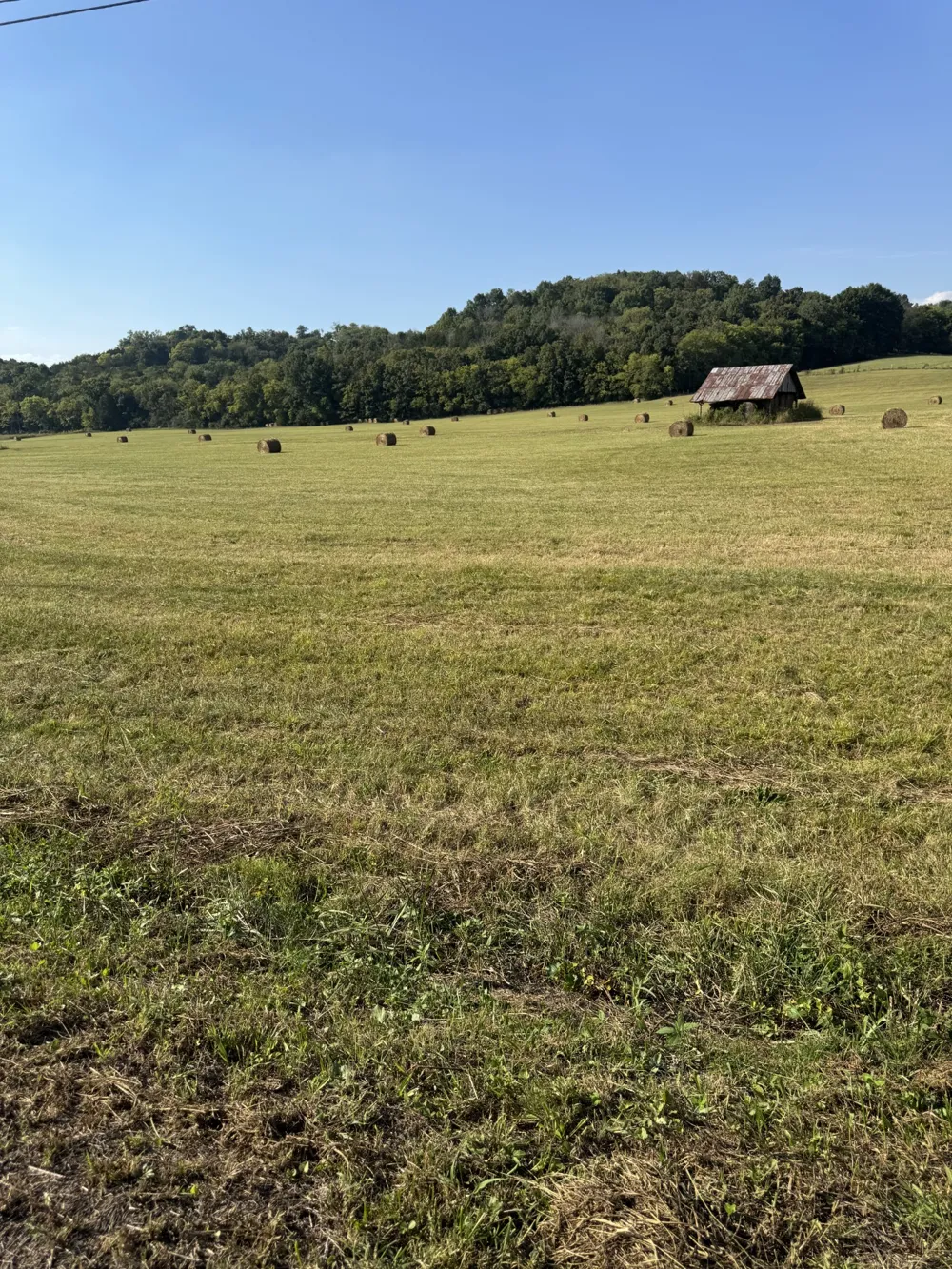 0 Cheatham Springs Road Wartrace, TN 37183