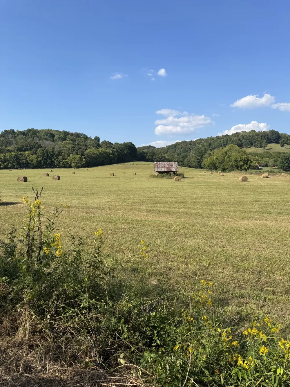 0 Cheatham Springs Road Wartrace, TN 37183