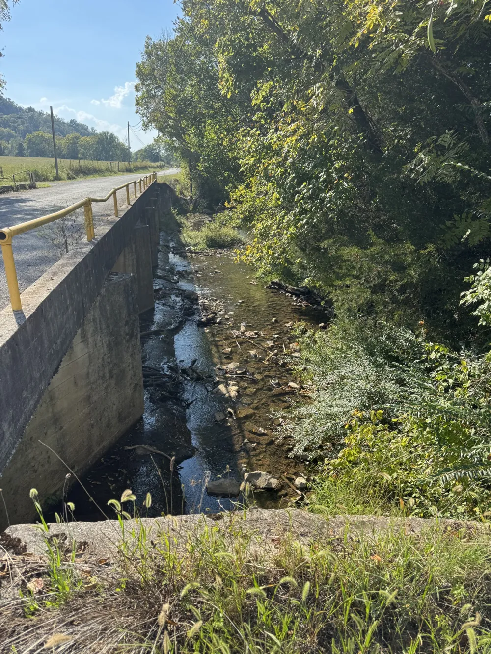 0 Cheatham Springs Road Wartrace, TN 37183