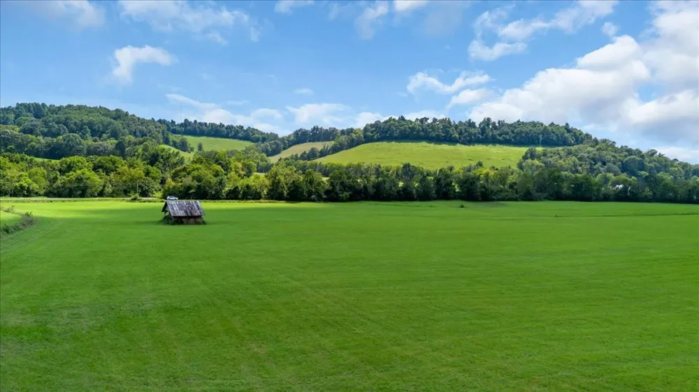 0 Cheatham Springs Road Wartrace, TN 37183
