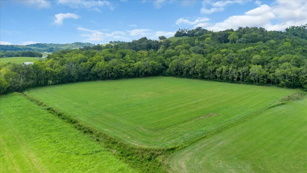 0 Cheatham Springs Road Wartrace, TN 37183