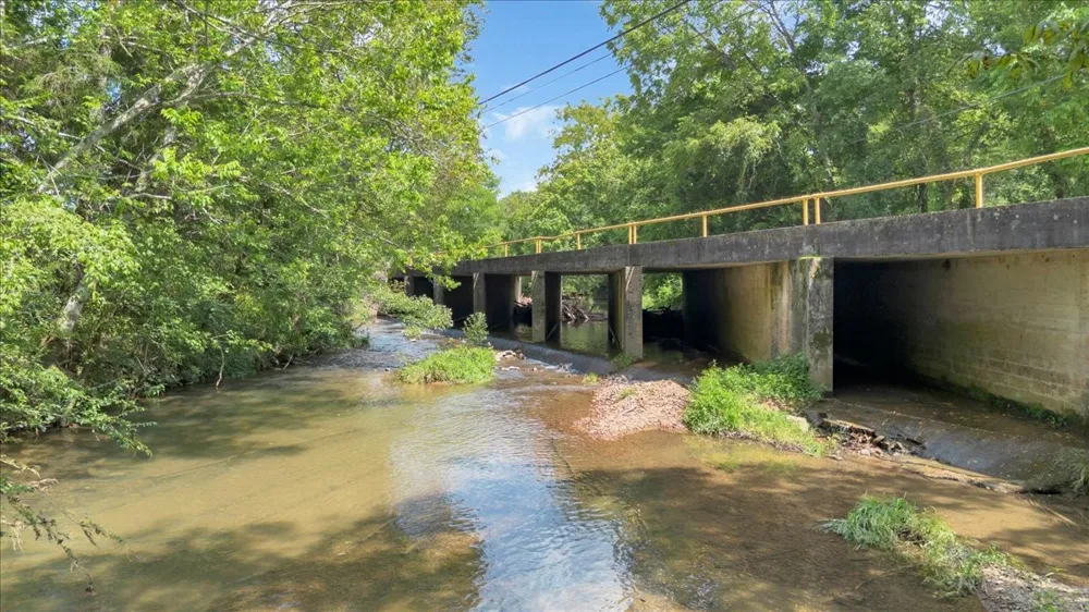 0 Cheatham Springs Road Wartrace, TN 37183