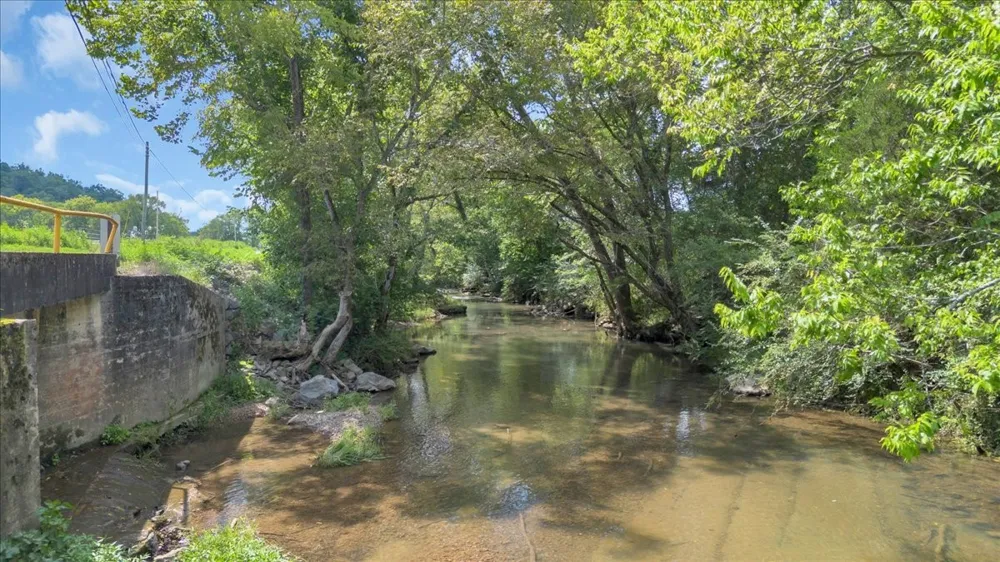 0 Cheatham Springs Road Wartrace, TN 37183