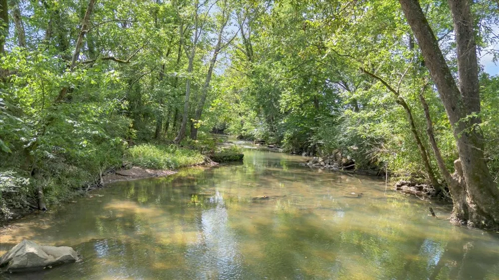 0 Cheatham Springs Road Wartrace, TN 37183