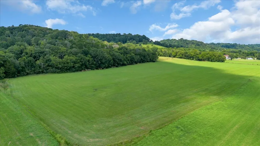 0 Cheatham Springs Road Wartrace, TN 37183