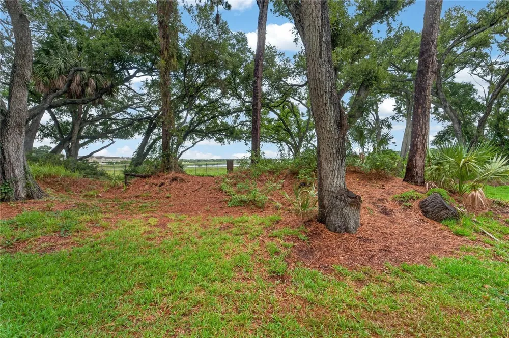 2005 RIVER TURIA CIRCLE Riverview, FL 33578