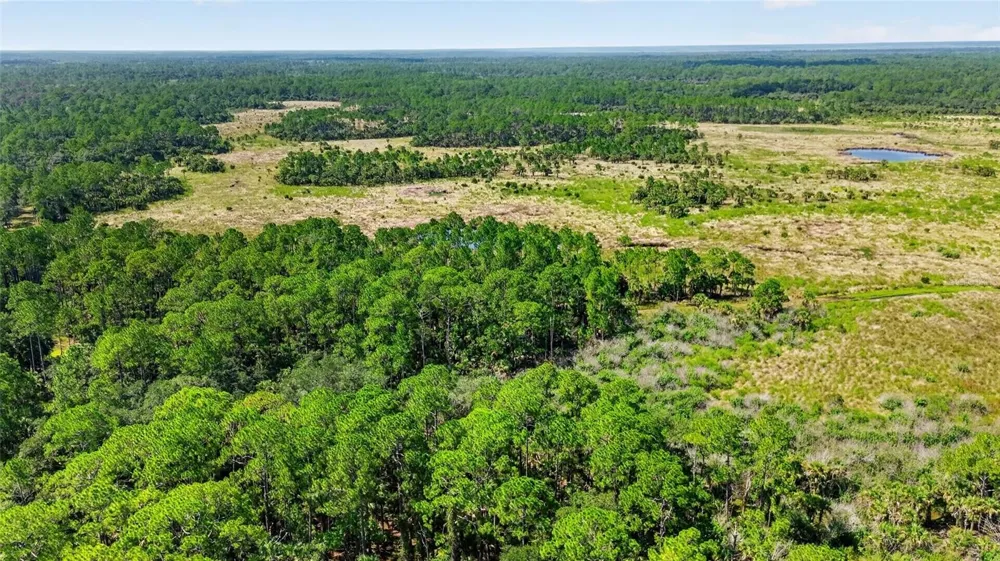 5365 PACES LANDING ROAD Mims, FL 32754