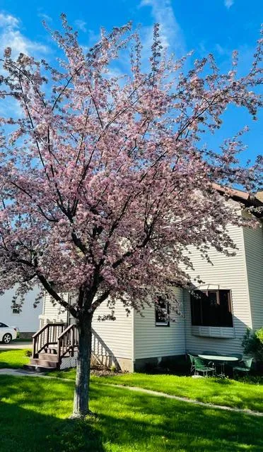 203 S Garden Street Lake City, MN 55041