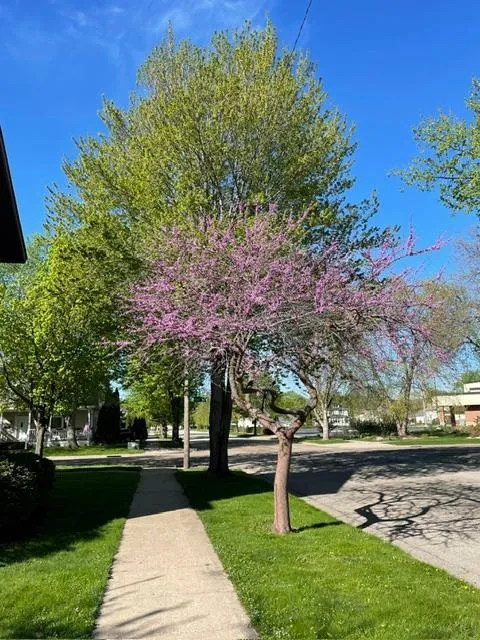 203 S Garden Street Lake City, MN 55041