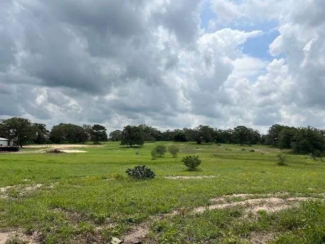 322 County Road 446 Nixon, TX 78140