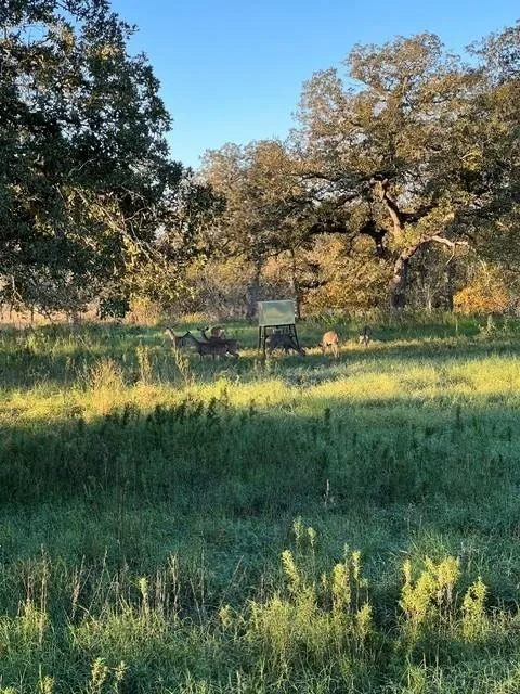 322 County Road 446 Nixon, TX 78140