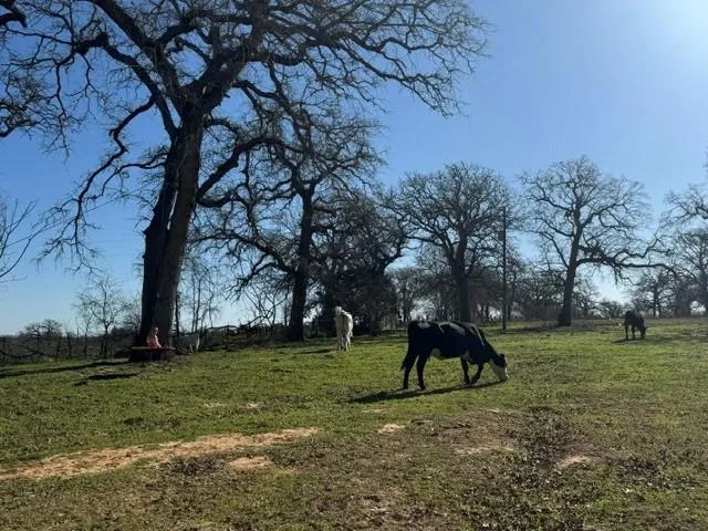322 County Road 446 Nixon, TX 78140