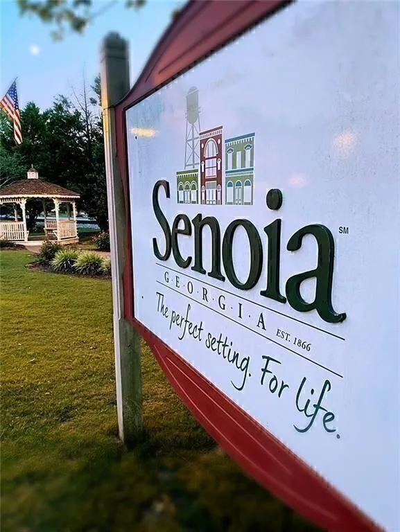 126 Morgan Street Senoia, GA 30276