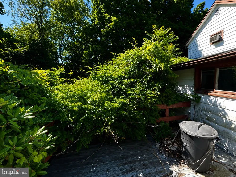 12808 ROSE MARY Mount Savage, MD 21545
