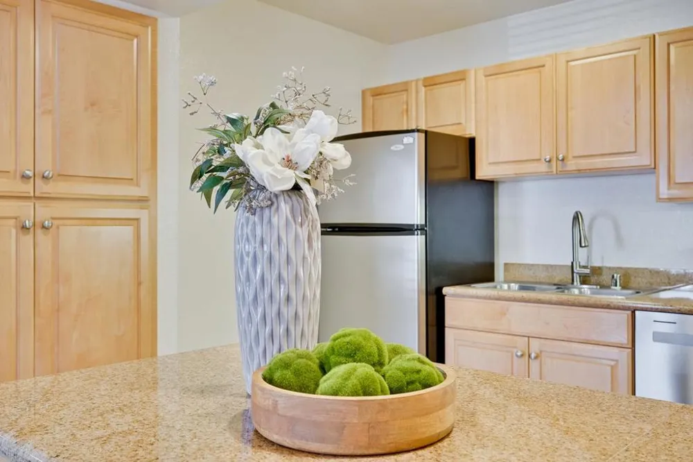 627 E El Camino Real #102 Sunnyvale, CA 94087