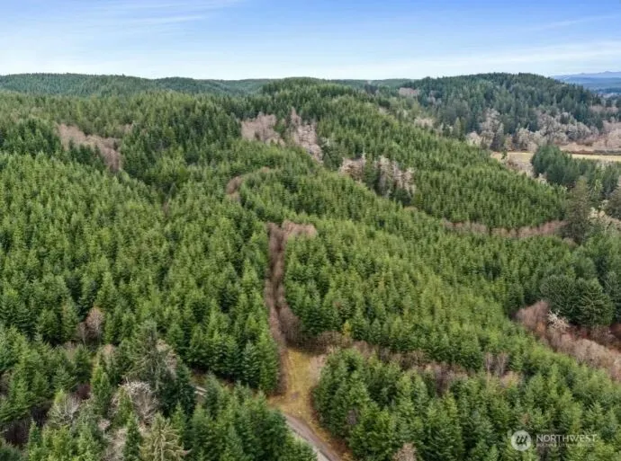 0 XYZ Wishkah Road Aberdeen, WA 98520