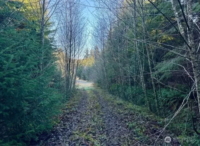0 XYZ Wishkah Road Aberdeen, WA 98520