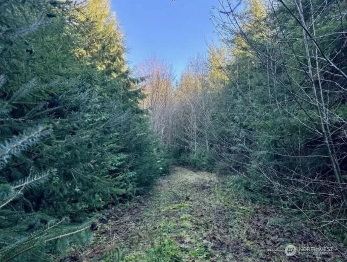 0 XYZ Wishkah Road Aberdeen, WA 98520