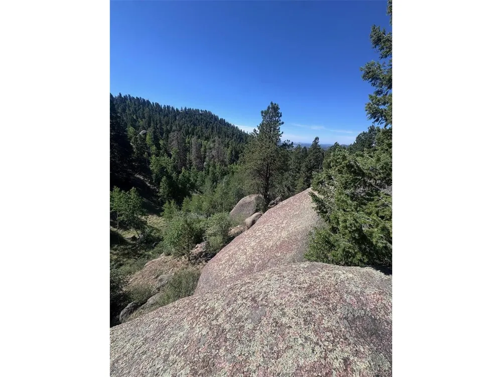 2356 Mountain Estates Road Florissant, CO 80816