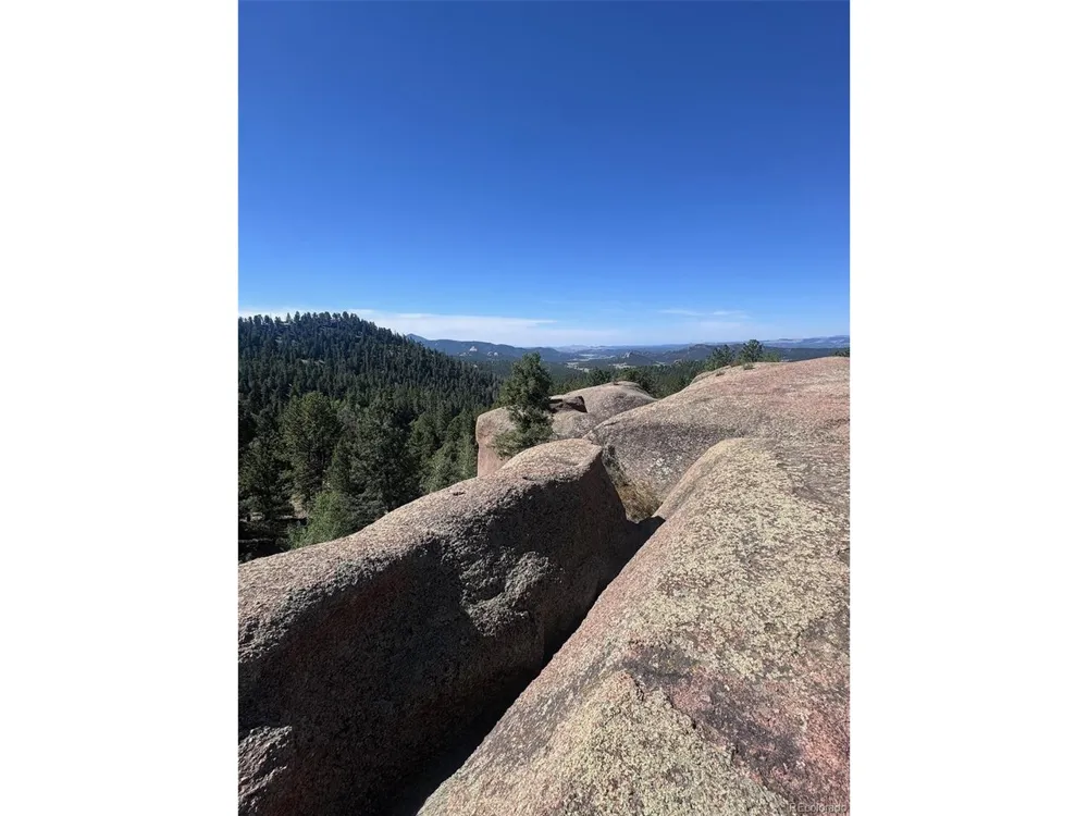 2356 Mountain Estates Road Florissant, CO 80816