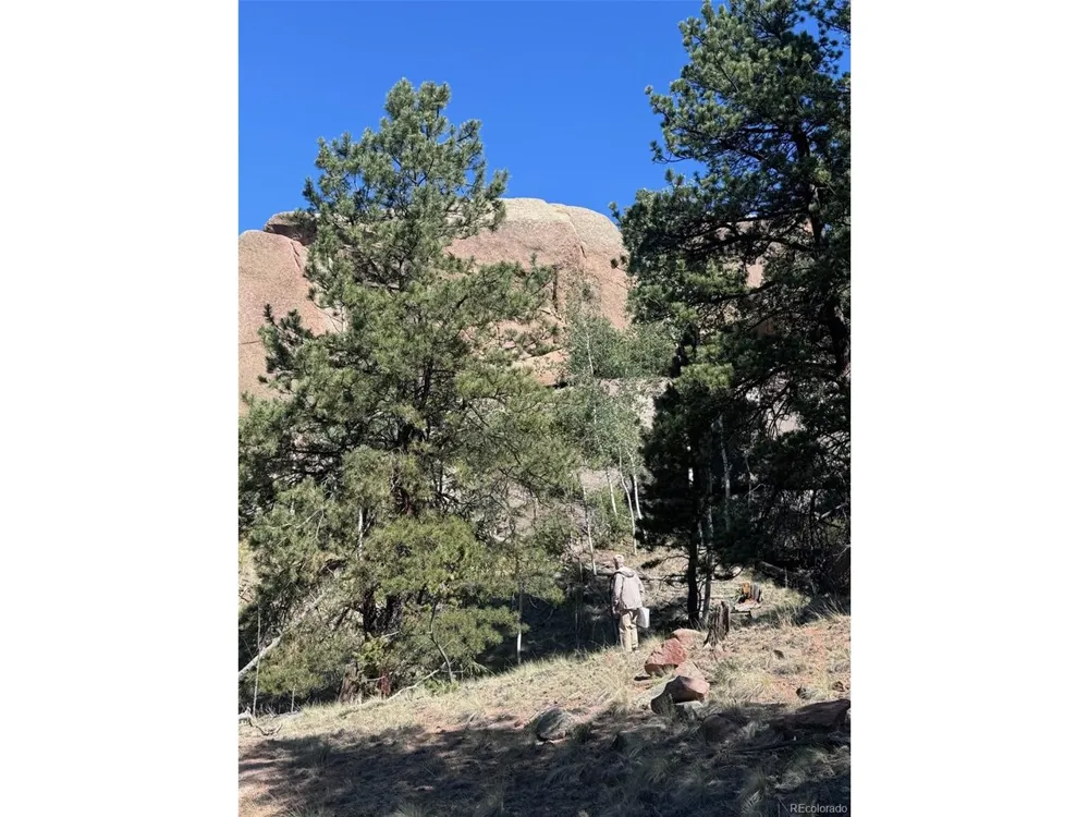 2356 Mountain Estates Road Florissant, CO 80816