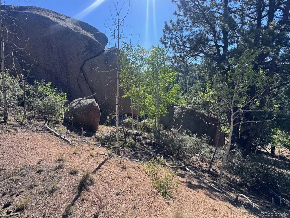 2356 Mountain Estates Road Florissant, CO 80816