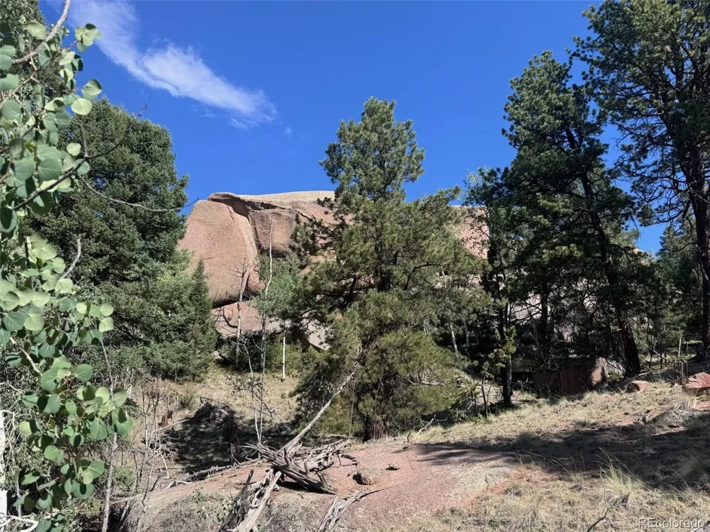 2356 Mountain Estates Road Florissant, CO 80816