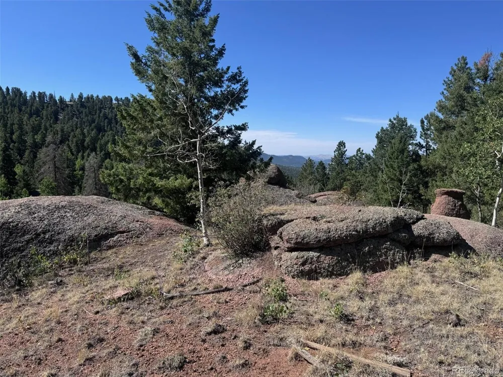 2356 Mountain Estates Road Florissant, CO 80816