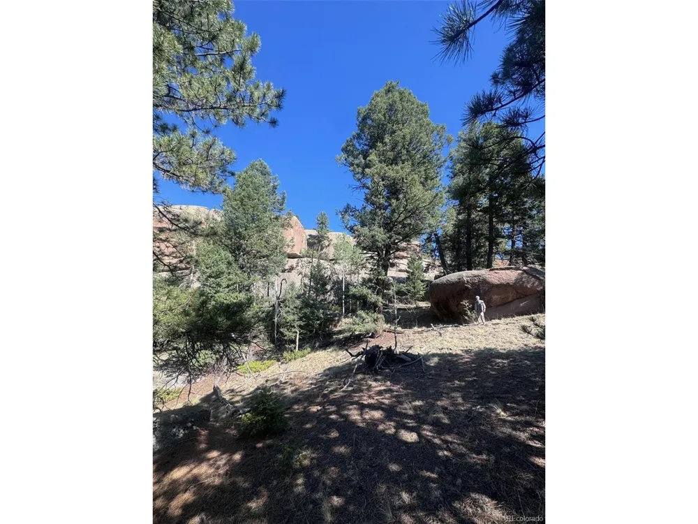 2356 Mountain Estates Road Florissant, CO 80816
