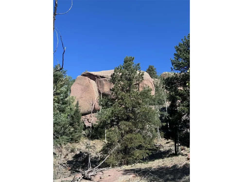 2356 Mountain Estates Road Florissant, CO 80816