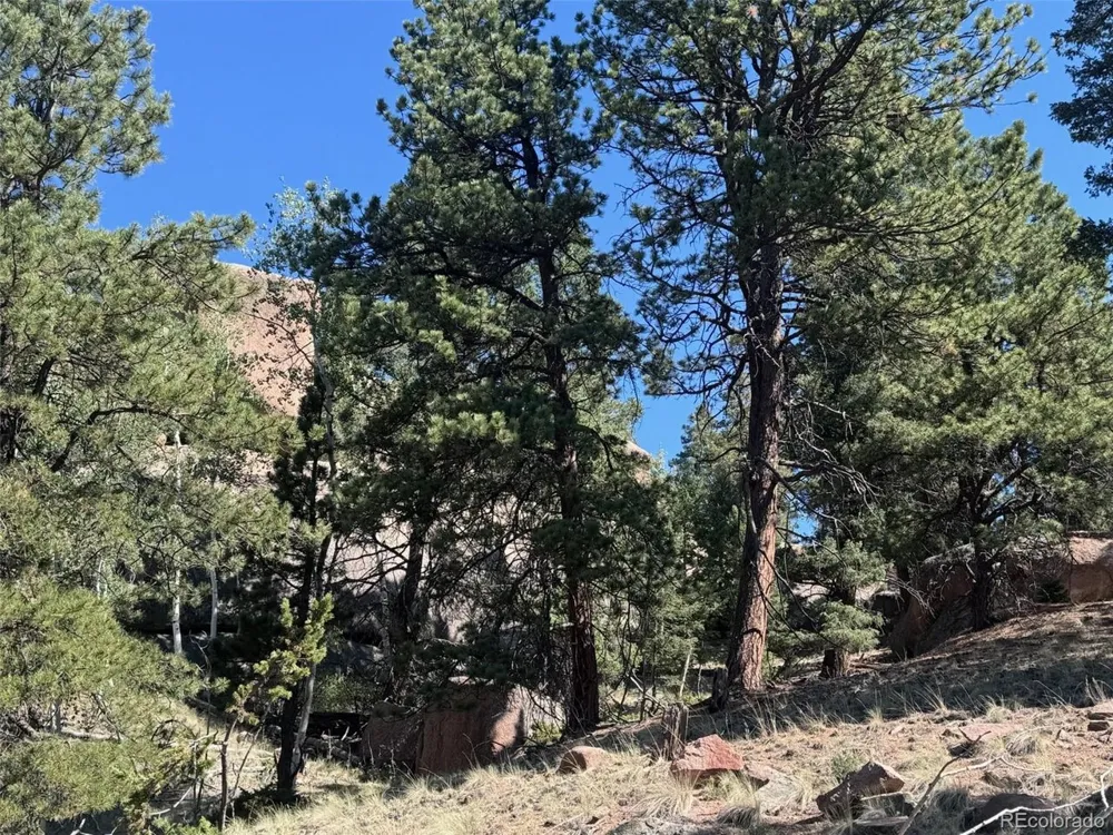 2356 Mountain Estates Road Florissant, CO 80816